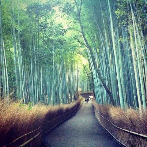 Essential Kyoto (day 1)