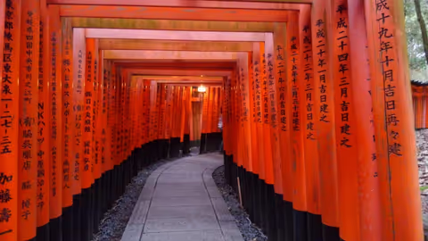 Kyoto Essentials: Full-Day Private Tour