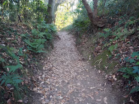 ☆Hiking tour in Kamakura with Maru☆
