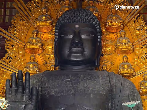 Kyoto and Nara sightseeing with a private van (1-12pax)