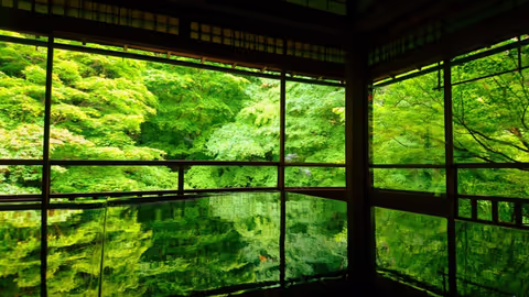 Hidden Gems of Kyoto covered with greenery world