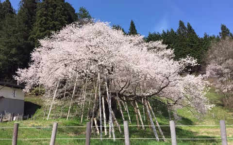 Country side tour in Takayama