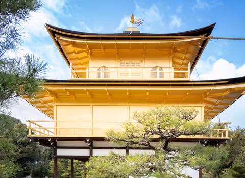 Highlights Kyoto with local professional guide and photographer