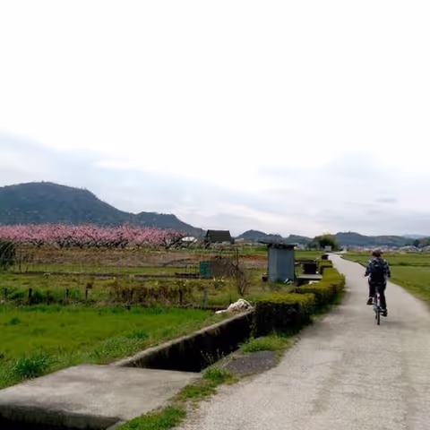 Okayama and Kurashiki