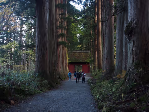 Togakushi Pilgrimage Trail Walking Tour