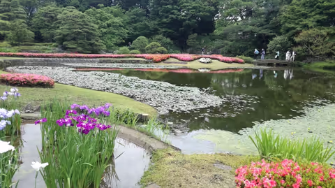 Flexible Tokyo