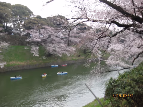Guide privé à Tokyo et les environs à la carte pour 1 journée