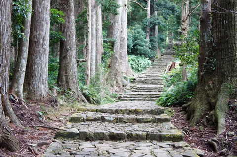 Overnight tirp to Kumano Kodo, Nachi Waterfalls, Kumano Shrines and more - from Wakayama