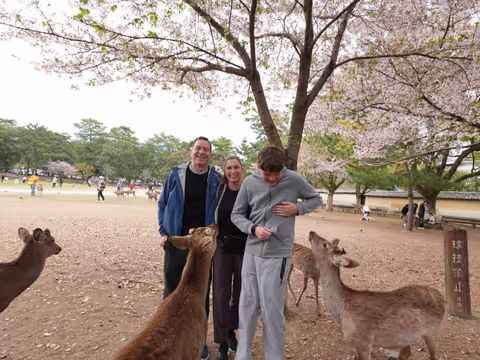 Arashiyama & Nara Highlights: One-Day Private Tour Adventure