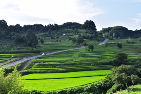 Asuka village 1 day tour ~the original landscape of Japan~