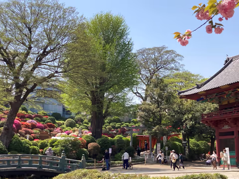 Japanese Gardens and Tokyo Life: Bunkyo City Customized Tour