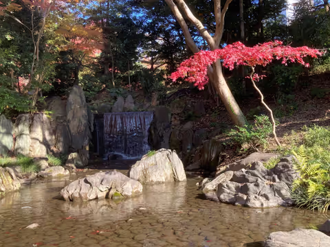 Japanese Gardens and Tokyo Life: Bunkyo City Customized Tour