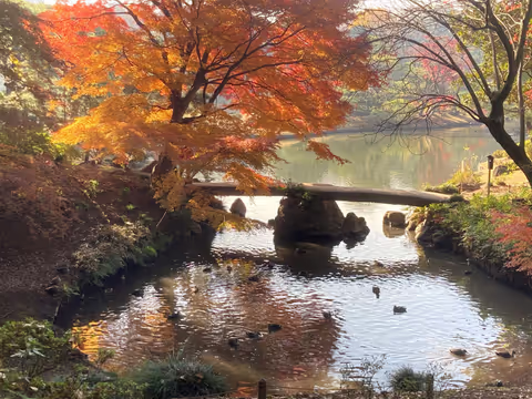 Japanese Gardens and Origami Workshop in Central Tokyo