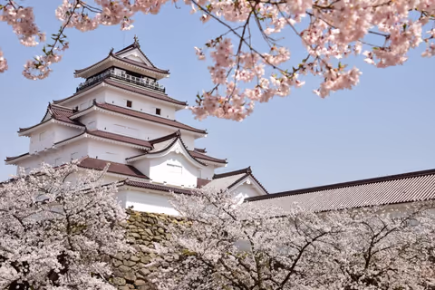 Get a Taste of Last Samurai City