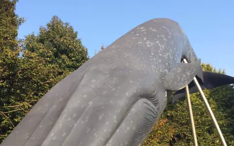 Walking Tour: Historical Structures in Ueno.