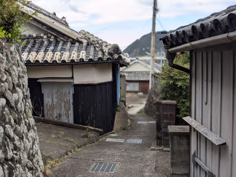 For Japanese descendants