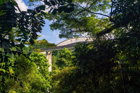 Mount Faber, Henderson Waves and Southern Ridges