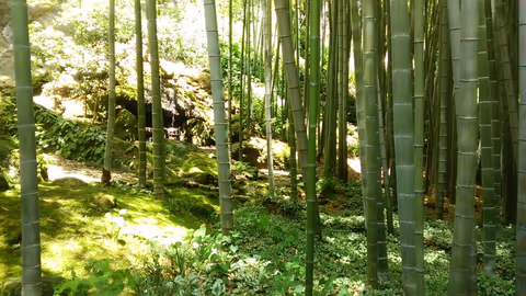 One day trip to Kamakura