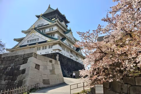 Visite Guidée Privée d'une Journée du Château d'Osaka
