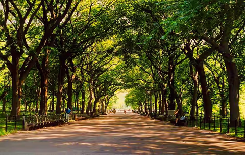 Central Park on Foot - nature & culture walking tour