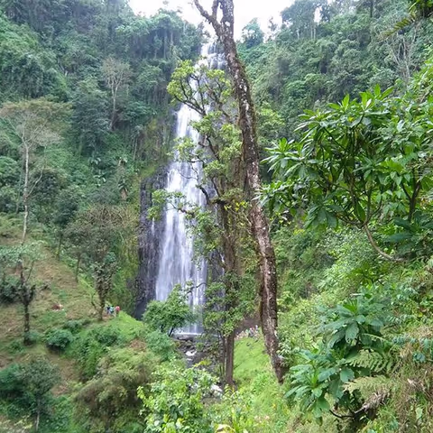 Family Tour to Materuni Waterfalls and Coffee Tour in Tanzania