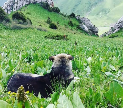 Visit Kyrgyzstan's best places in 5 days