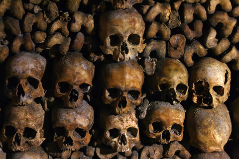 The Catacombs of Paris virtual live guided tour
