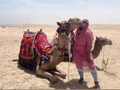  Horse or Camel Ride At Giza Pyramids At  Sunrise 