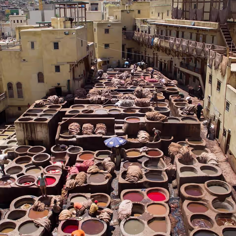 Half day tour in Fez Medina 