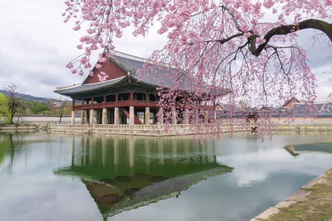 Seoul One-Day Private Tour & Free Photography Service – Capture Your Special Moments!