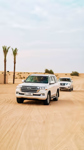 Dubai Desert & City Highlights VIP Experience