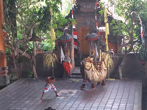 One Day Bali Highlight