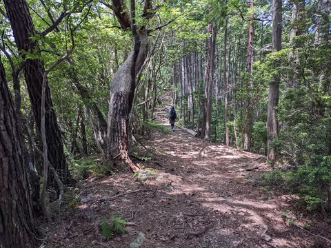 Overnight trip to Kumano Kodo and Kumano Hongu Taisha