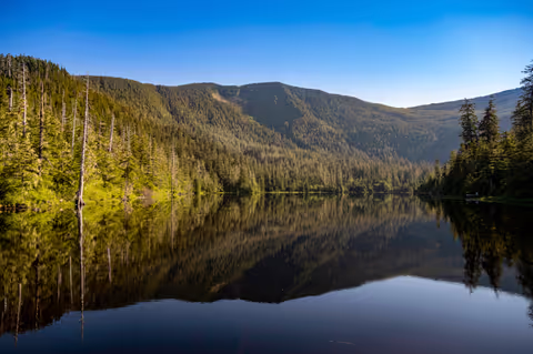 Ketchikan Mountain Lake Trek to Avalanche Chute 3.5 Hours