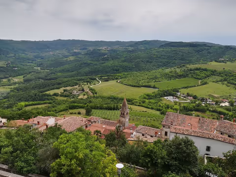 Full day of Istria with truffle tasting