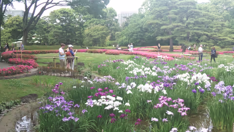 Tokyo Exploration 4 hours or more