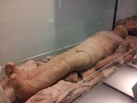 Day tour Citadel & Egyptian Museum