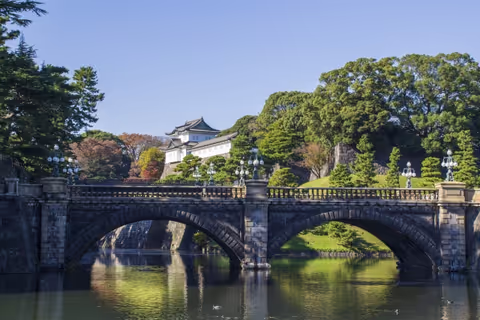 Full day Customized Tokyo tour