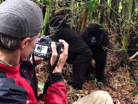 5 Days Mountain Gorilla Trekking And Wildlife Safari