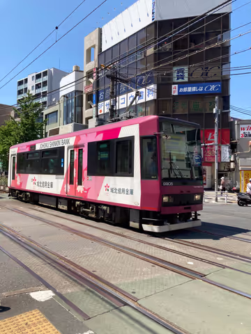 Tokyo old residential area tour with Tram