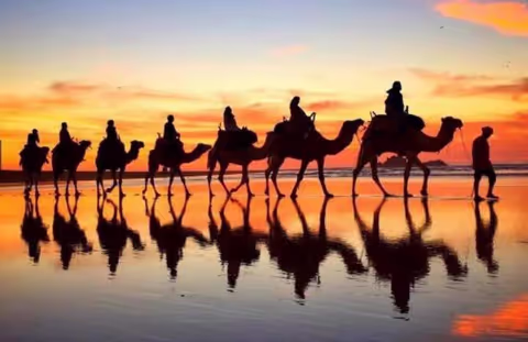 Barbecue camel ride in Agadir
