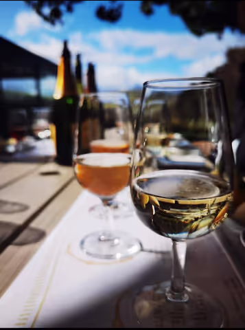 Wine Tasting Stellenbosch from Cape Town
