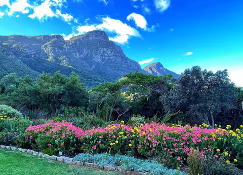 Kirstenbosch Gardens and Wine Tasting from Cape Town