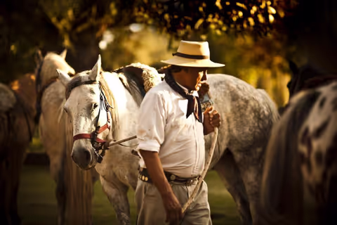 Gaucho Day Trip to San Antonio de Areco & El Ombu Ranch