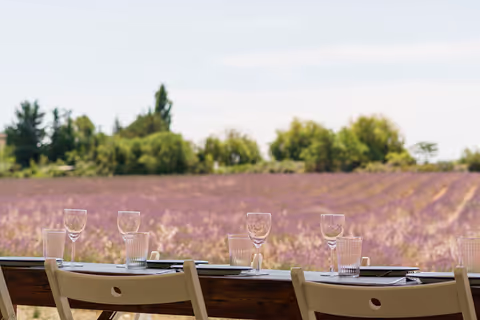 Visit a lavender field in Aix-en-Provence 