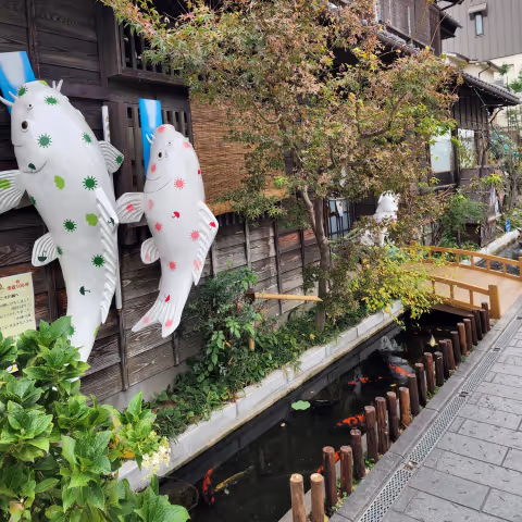 Kahoko's Excursion from Tokyo to Kawagoe