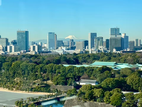 Votre tour privé de Tokyo