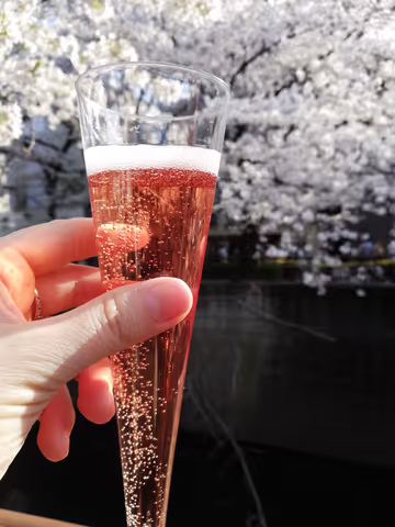 City Kickstart Tour: Tokyo