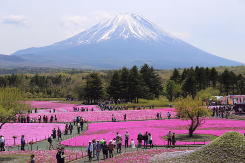 A Day Trip to Fuji National Park (Lake Kawaguchiko)