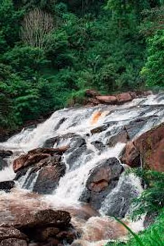 3 Days tour to Amani Nature Reserve